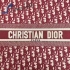 Christian Dior Book Tote Oblique CdBto5436654